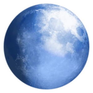 Pale Moon Browser get the latest version apk review